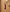 Hajun Anime Eyes Keychain