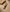 Soji Okita Eyes Keychain
