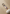 Kirara Hoshi Anime Eyes Keychain