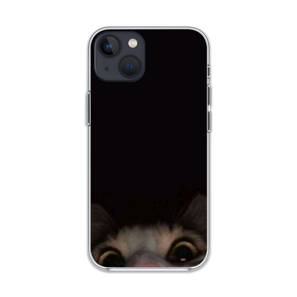 Cat Looking At You Phone Case