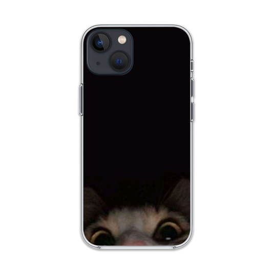 Cat Looking At You Phone Case