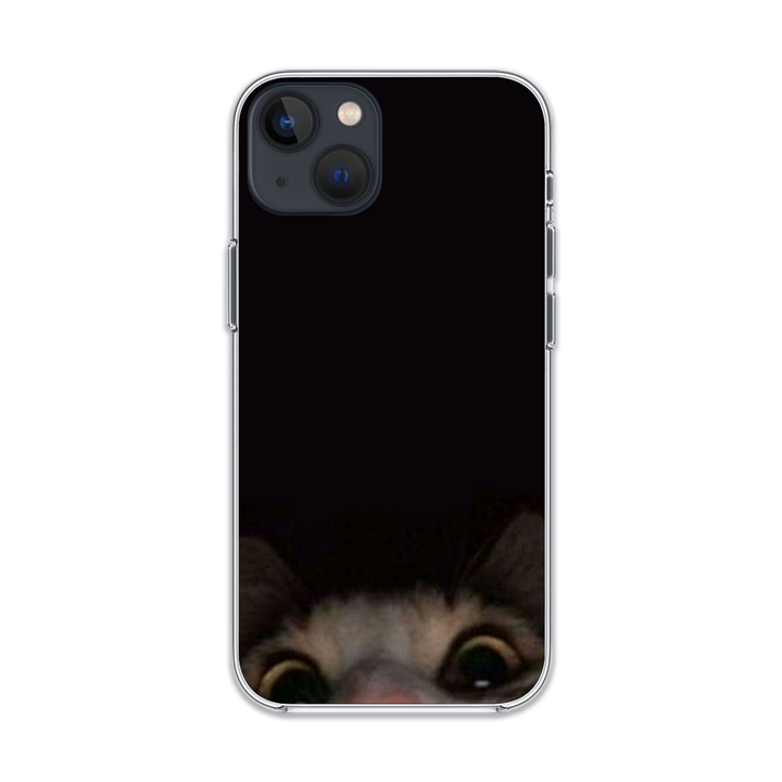 Cat Looking At You Phone Case